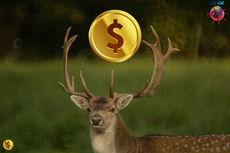 Bucks and Dollar